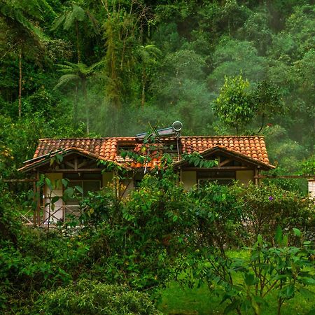 Hotel Termales San Vicente Santa Rosa de Cabal Eksteriør bilde