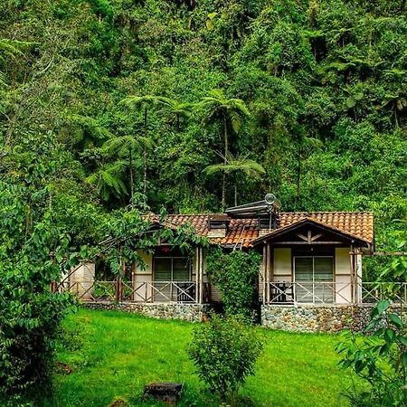 Hotel Termales San Vicente Santa Rosa de Cabal Eksteriør bilde