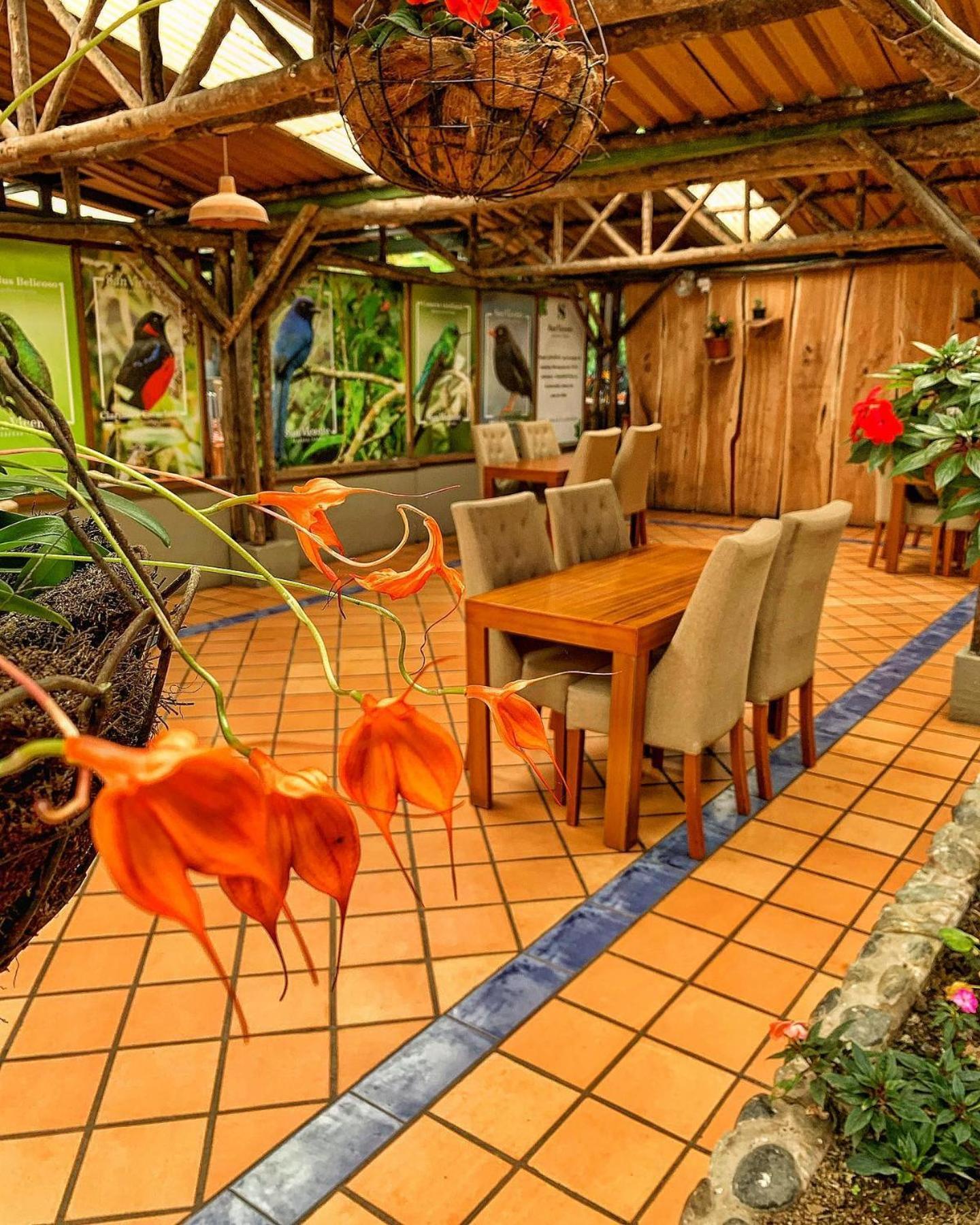 Hotel Termales San Vicente Santa Rosa de Cabal Eksteriør bilde